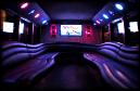 Bachelor / Bachelorette Party Buses / Limousine Service Shuttle Bu